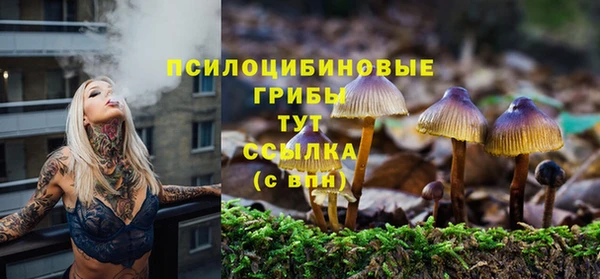 гидра Дмитриев