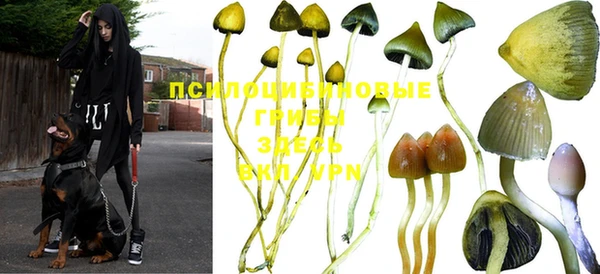 каннабис Дмитров