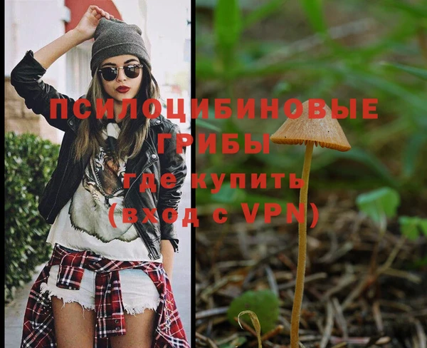 гидра Дмитриев