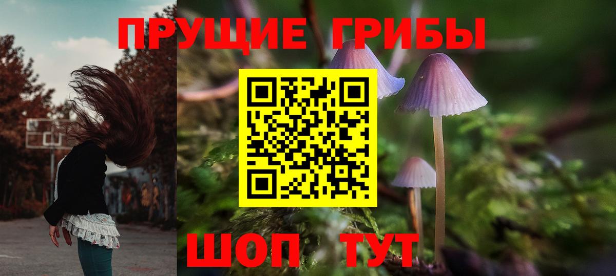 Галлюциногенные грибы Magic Shrooms Калуга